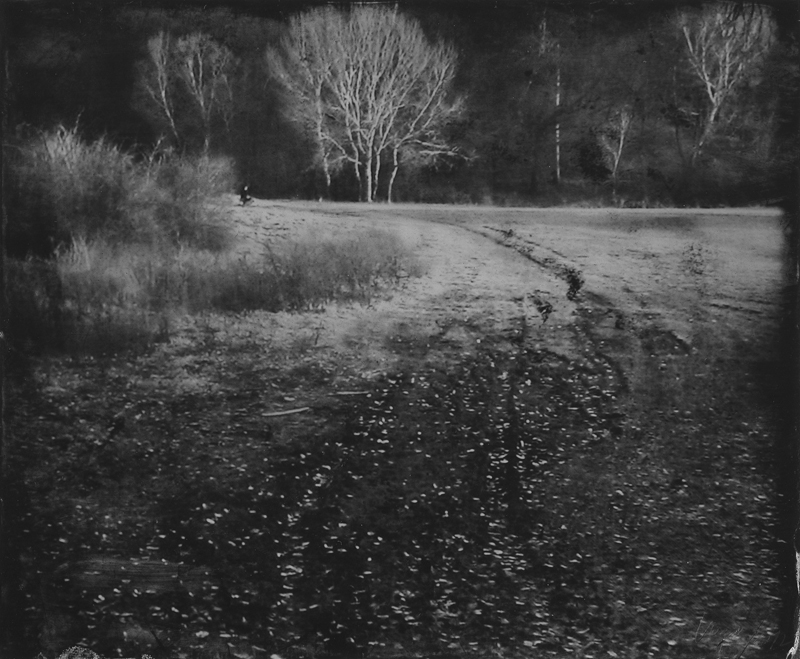 Renata Vogl scanned original ferrotype landscape No1 original size 18x15 cm